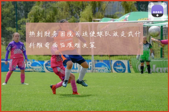热刺财务困境或迫使球队放走武什科维奇面临艰难决策